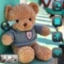 Peluche Ourson camera espion cachée HD 1080P WIFI détecteur mouvement